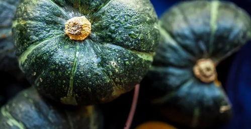 吃瓜黄胖,揭秘网络红人的崛起之路