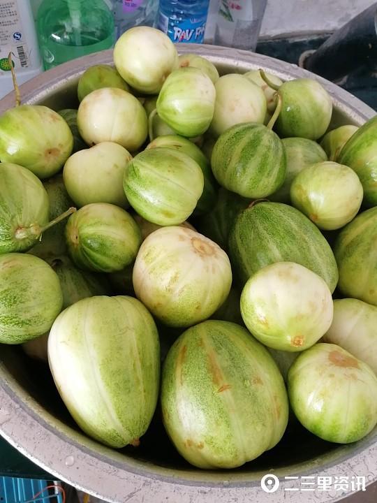 衢二中吃瓜,揭秘“吃瓜”背后的故事