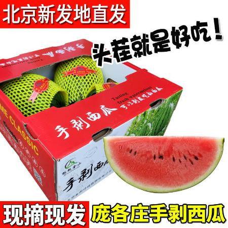 摘麒麟瓜现吃,尽享夏日清新美味