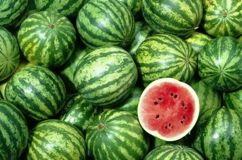 买瓜老板吃瓜视频大全播放,揭秘买瓜老板吃瓜视频大全的火爆魅力