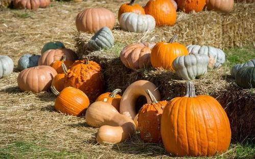 世民吃瓜,揭秘娱乐圈背后的那些事儿