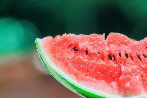 小冰学吃瓜,开启美食探索之旅