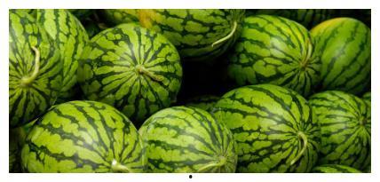 小冰学吃瓜,开启美食探索之旅