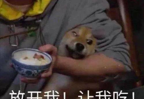 全网吃瓜大集合,揭秘娱乐圈幕后真相！