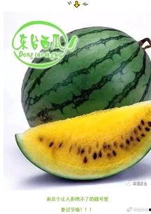 全网吃瓜大集合,揭秘娱乐圈幕后真相！