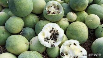 磕瓜子吃瓜,揭秘娱乐圈背后的故事