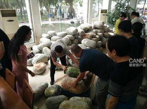 全家 围观 吃瓜视频大全,吃瓜视频大全，揭秘娱乐圈幕后故事