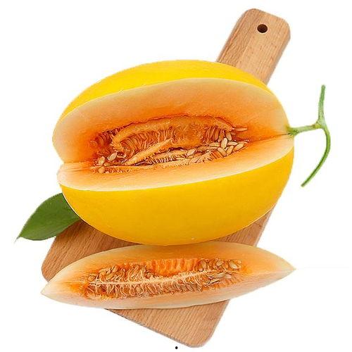 带你吃瓜311集,揭秘311集背后的精彩故事