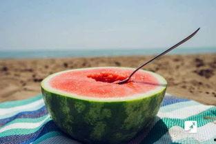 吃瓜勺子304,探寻美食背后的匠心独运