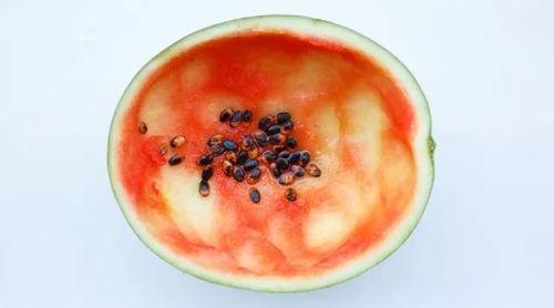 吃瓜勺子304,探寻美食背后的匠心独运