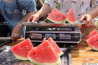 山东菏泽结婚吃瓜事件,一场误会引发的社交网络热议