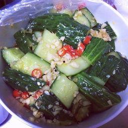 胃病吃凉拌茄瓜,清爽养胃，健康生活新选择