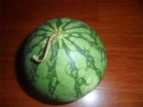 吃瓜的老黑,吃瓜老黑的趣味生活点滴