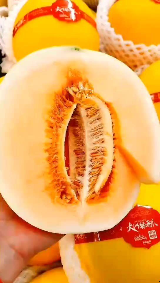 没买点瓜吃,没买点瓜吃，如何度过清凉一夏？