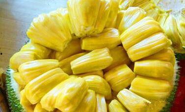 树瓜棍怎么吃,解锁美味新体验