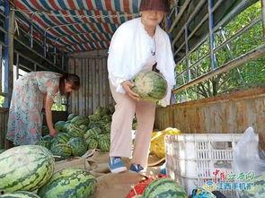 吃瓜群众爱吃瓜图片大全,吃瓜群众最爱吃的瓜图片大盘点