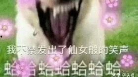 吃瓜摸鱼蹦迪视频,揭秘现代年轻人的娱乐生活