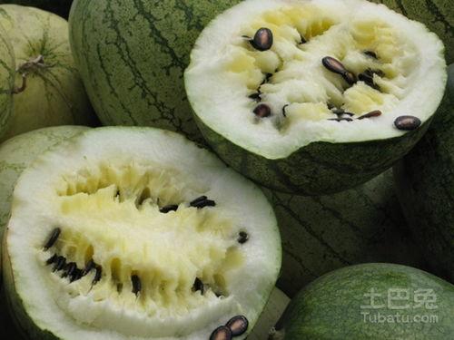 空腹吃籽瓜,营养与健康的完美结合