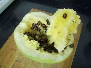 空腹吃籽瓜,营养与健康的完美结合