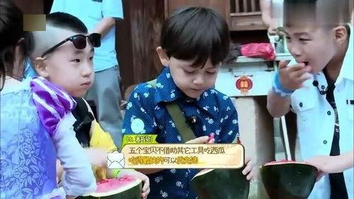 轩轩名场面吃瓜,瓜田里的欢乐时光