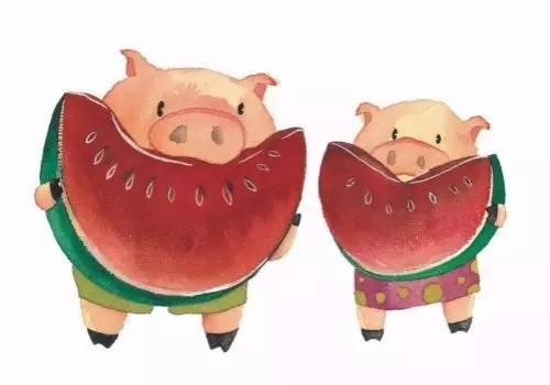 抱猪吃瓜,一场别开生面的趣味盛宴