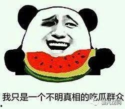 抱猪吃瓜,一场别开生面的趣味盛宴