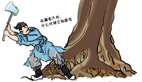 最多是后羿 吃瓜,揭秘古代神话中的神秘事件