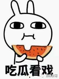 吃瓜女骗子,一场网络诈骗的狂欢