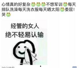 盼望吃瓜,揭秘那些让人翘首以盼的瓜界大事件