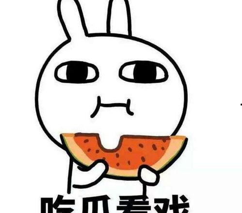 如何看待理性吃瓜,揭秘网络舆论背后的真相与智慧