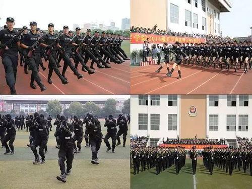 浙江警察学院吃瓜,吃瓜群众眼中的校园生活